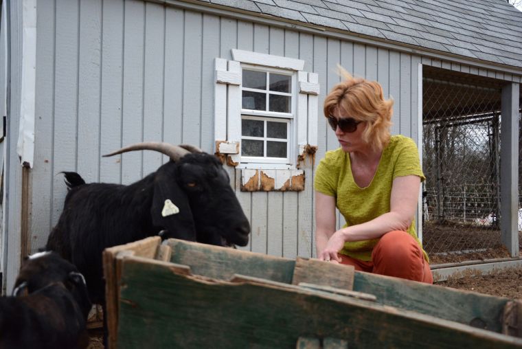 Garden goats